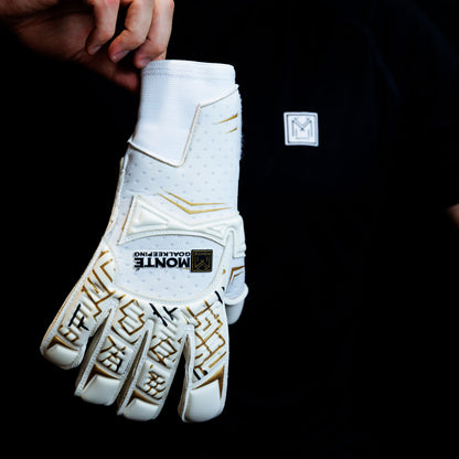 Victoire Elitea Hybrid